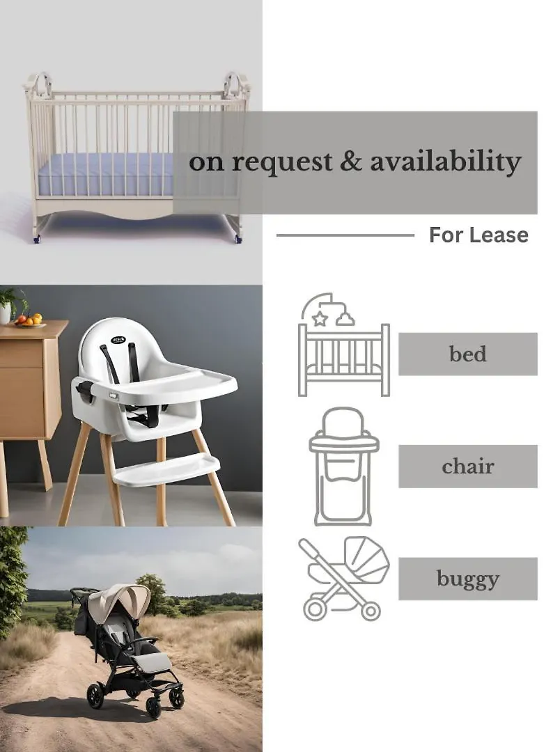 Swine By Rockchair Apartments L Superhost Status L Cozy Family & Business Flair In City Center 